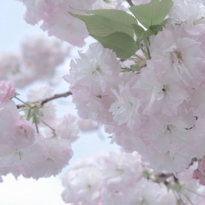 兽设插画构图技巧Furry群